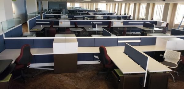 One Year Old Knoll Dividends Cubicles