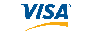 Visa Logo 100