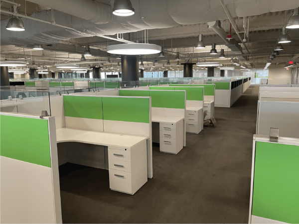 Office filled with cubicles